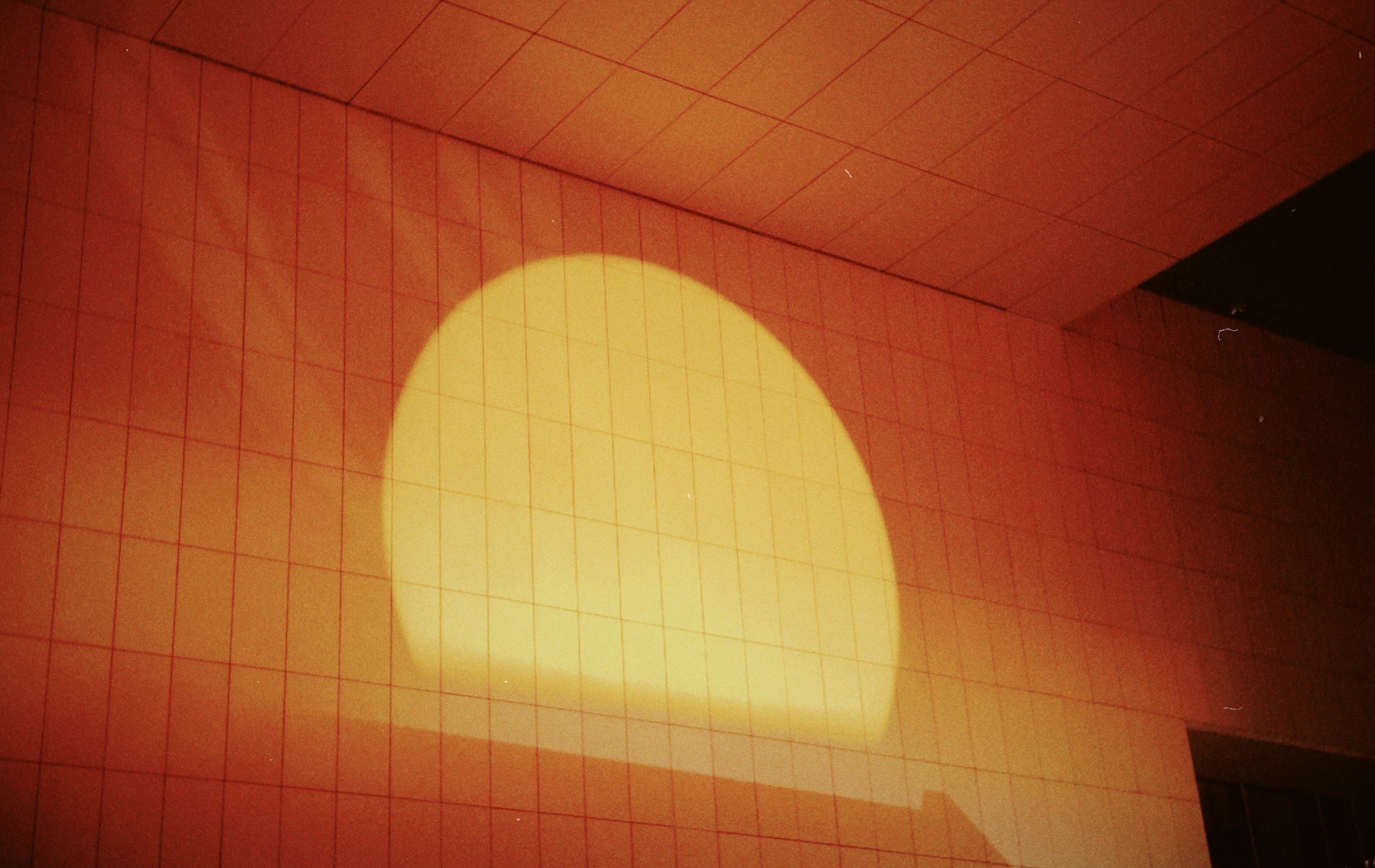 Working light